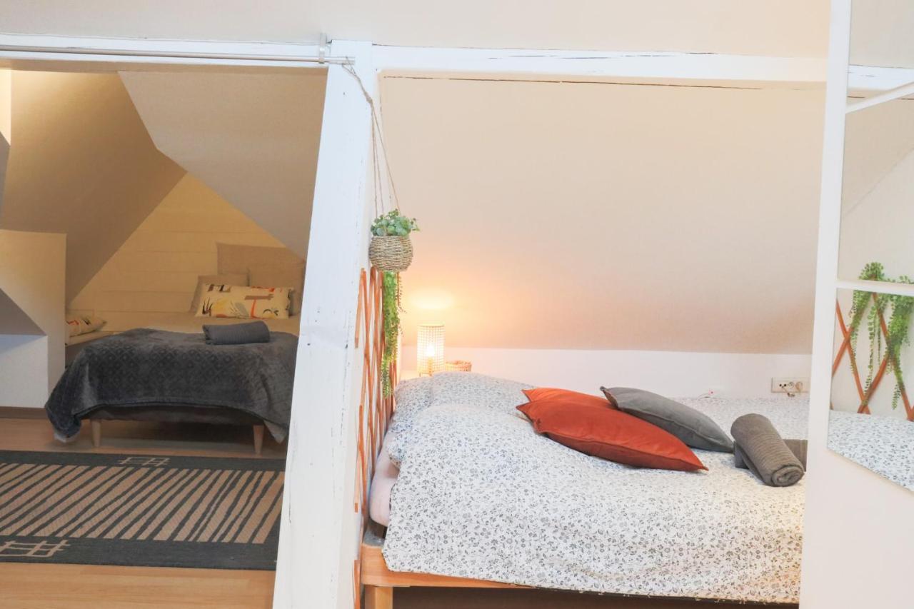 Апартаменти Le Petit Loft, Mulhouse Centre Екстер'єр фото