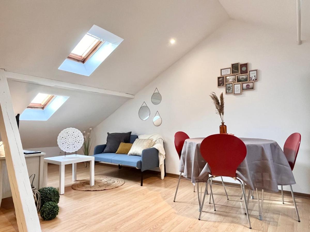 Апартаменти Le Petit Loft, Mulhouse Centre Екстер'єр фото