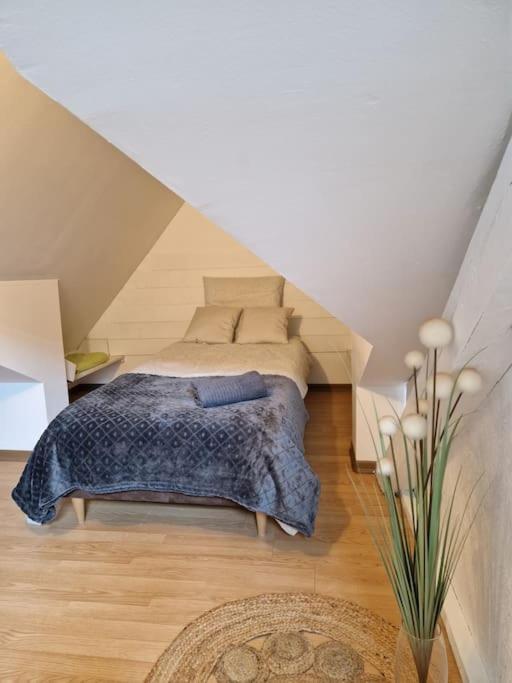 Апартаменти Le Petit Loft, Mulhouse Centre Екстер'єр фото