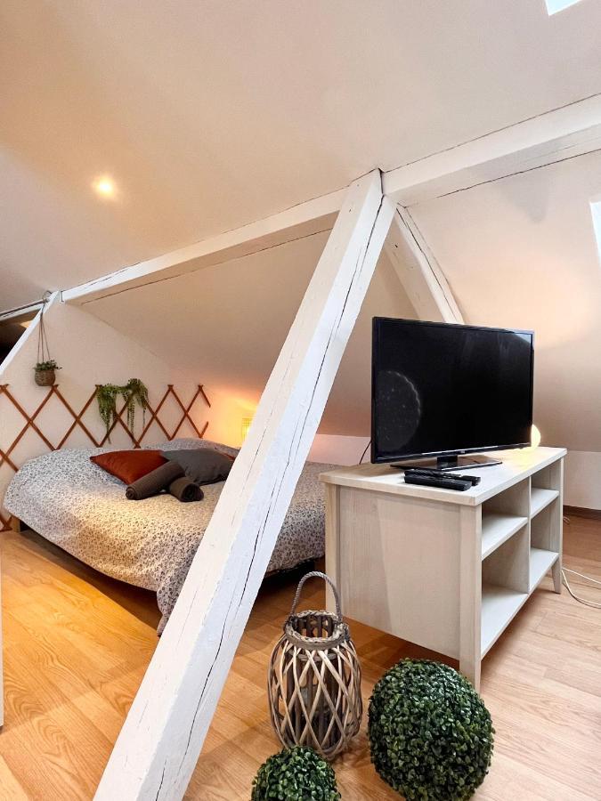 Апартаменти Le Petit Loft, Mulhouse Centre Екстер'єр фото